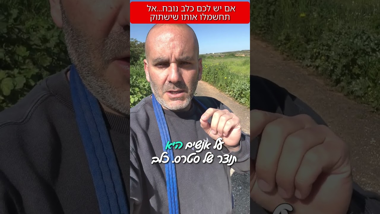 אל תחשמלו את הכלב הנובח שלכם