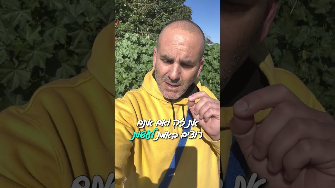 אני, שי רצר, מאלף כלבים שעוזר לכם בכל מקום בארץ ובעולם