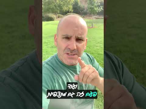 כלבים תוקפנים מול כלבים