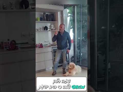 אילוף כלבים וסמכות מנטלית