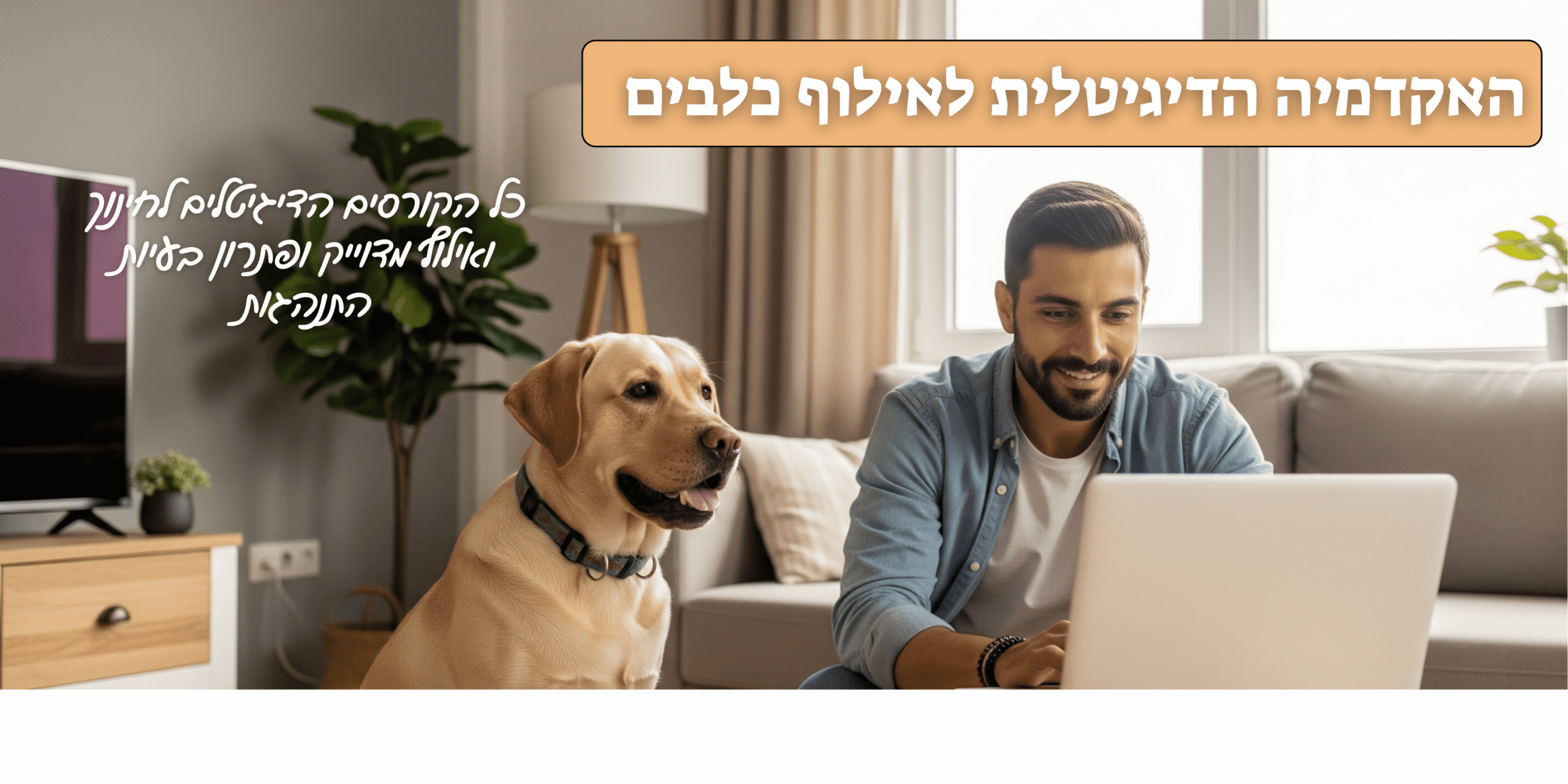 הוסף-כותרת_optimized הוסף-כותרת_optimized