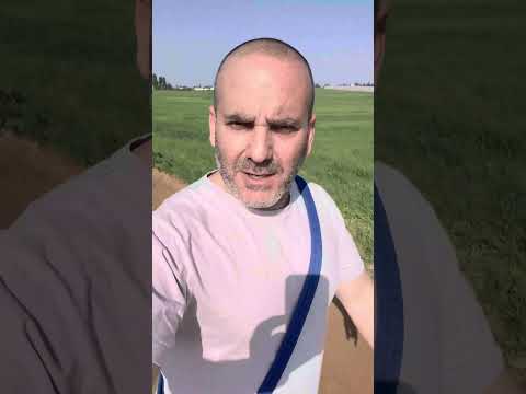 אל תתיחסו לכלב שלכם כמו תינוק ותיצור בעיות התנהגות