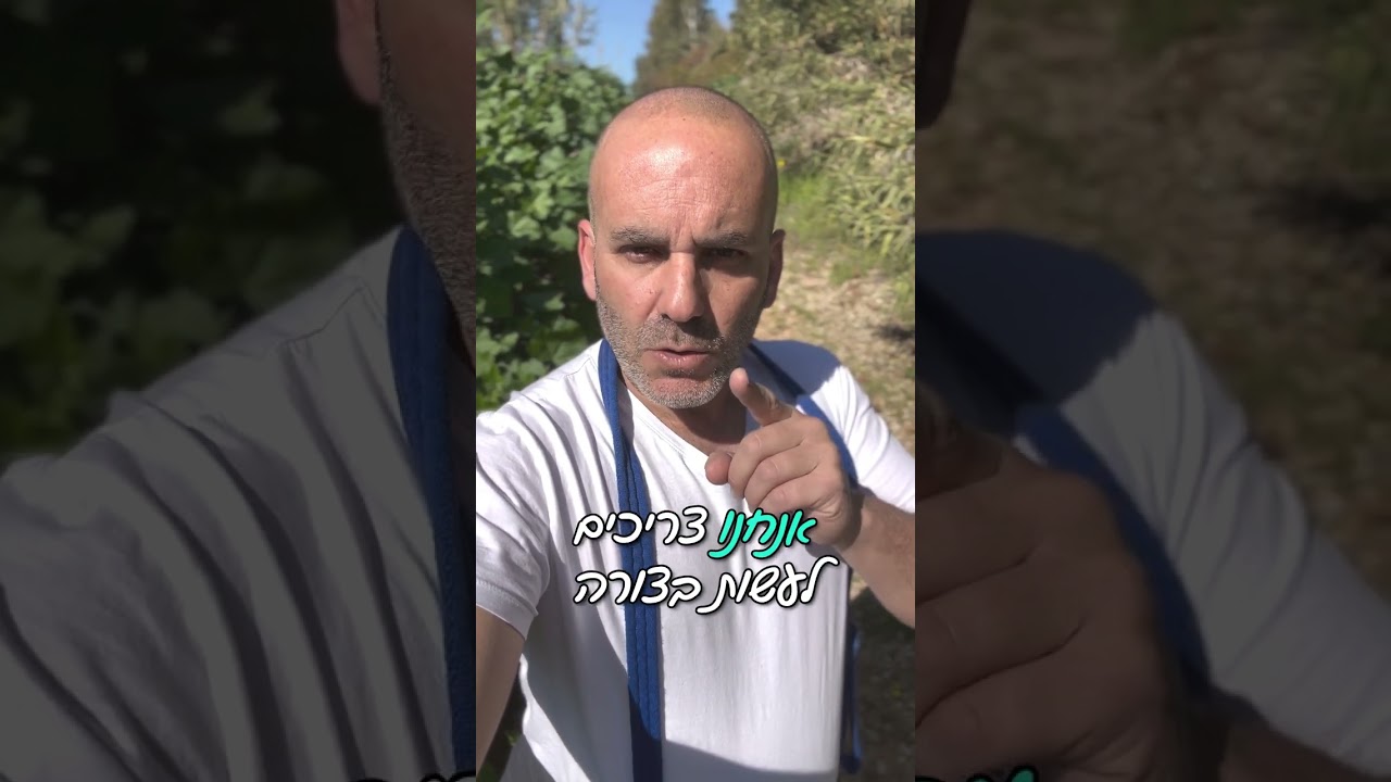 הכלב שלכם שונא לצאת לטיול?