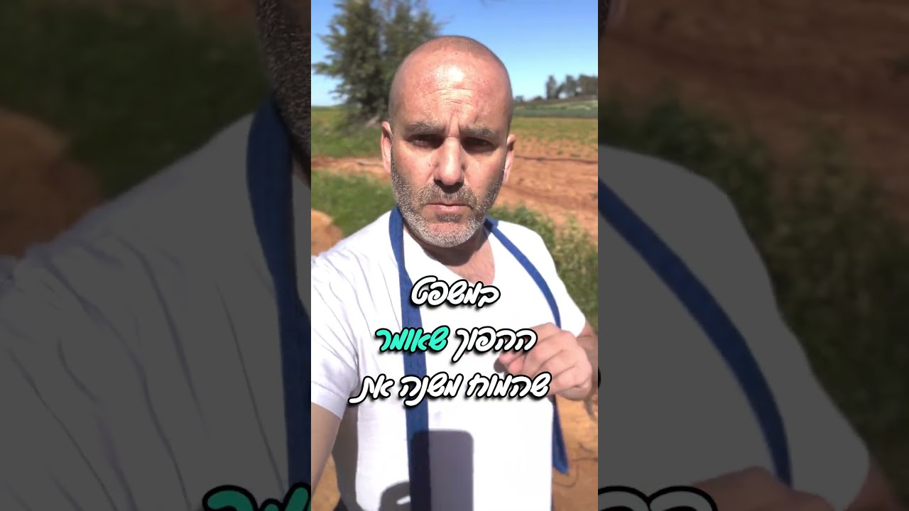 המוח של ככלבכם שולט בגוף ולא להפך