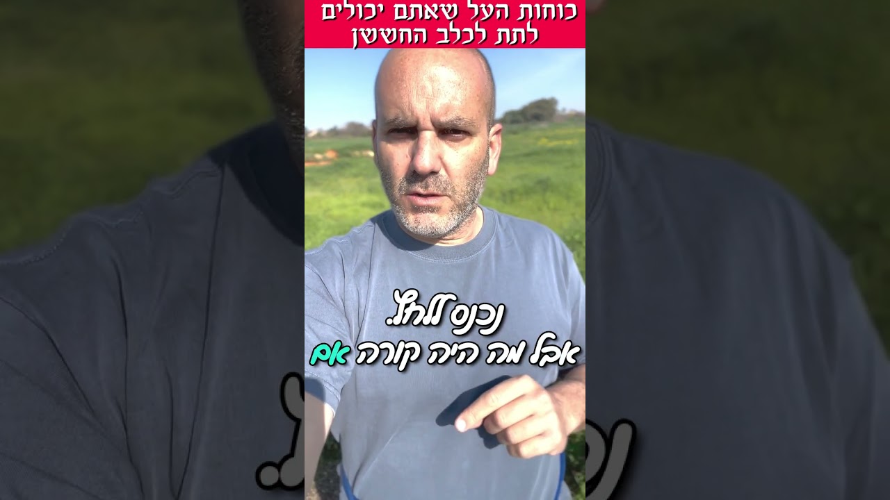 המתנה הגדולה שתוכלו לתת לכלב המפוחד