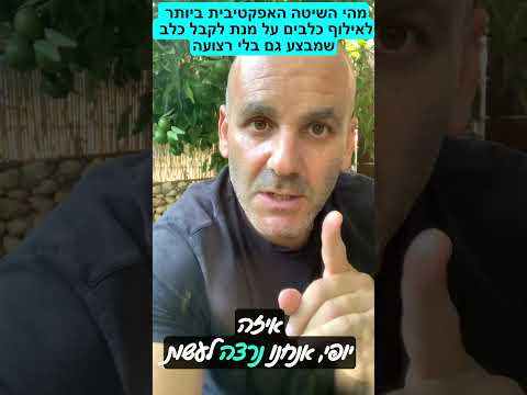 אילוף ללא רצועה