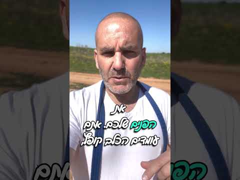 התעלמות של התנהגות שלילית של כלבכם אינה הפתרון