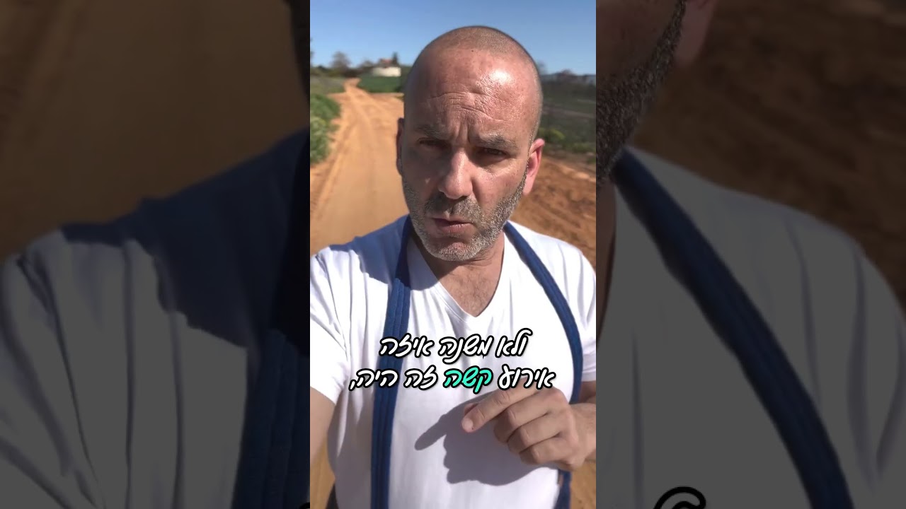 אפשרו לכלב שלכם להשאיר את העבר מאחור ולהתקדם