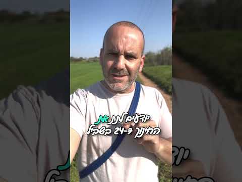 כלבים שחיים בחצר הם כלבים עם בעיות התנהגות