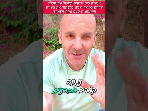 אפשר לתקן בעיות התנהגות אצל כלבים