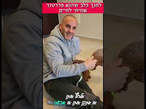 אילוף מנטלי-האילוף הנכון