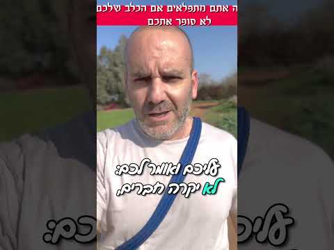 מה אתם מתפלאים? אילפתם את הכלב שלכם לא נכון
