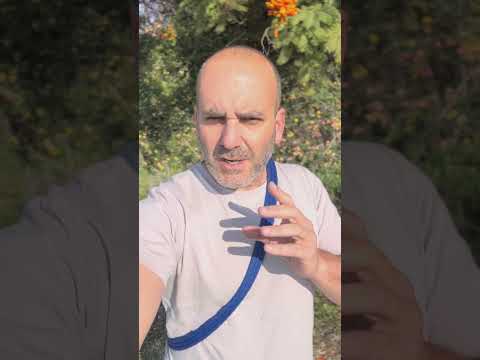 מה זה שווה כלב ששווה מיליונים בלי חינוך טוב