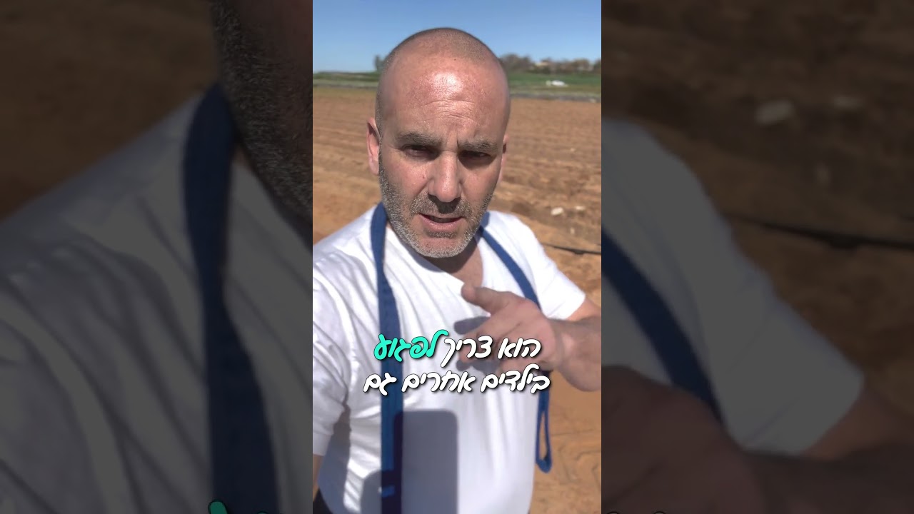 מכירים את הכלב הבריון השכונתי?