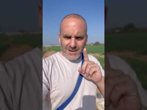 פקודות ואילוף הן לא דבר טכני