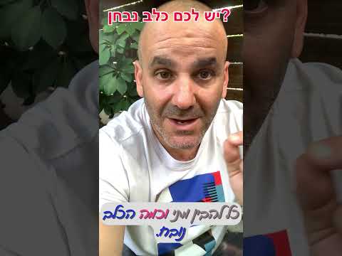 קולר חשמלי הוא לא הפתרון לכלב שנובח