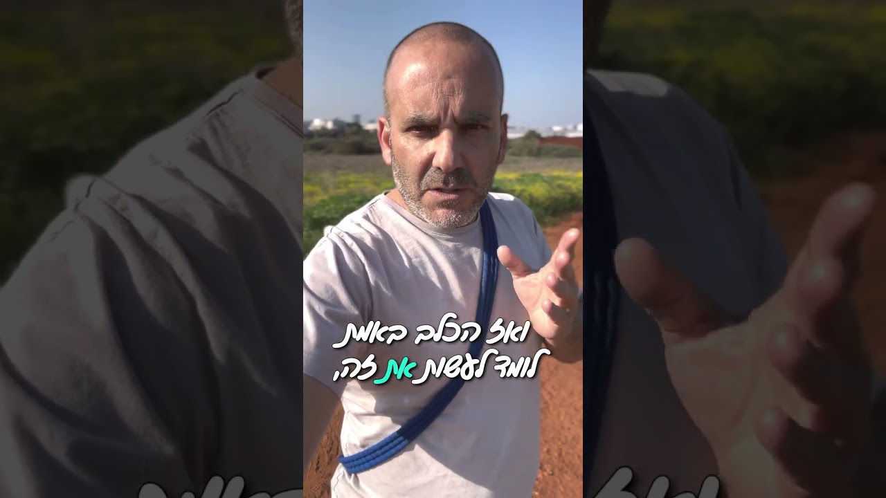 שולחים את הכלב שלכם לאילוף בפנסיון?