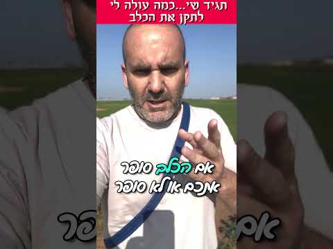 כמה יעלה לתקן את הכלב