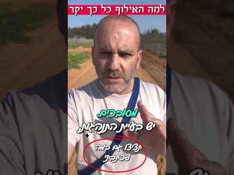 למה אילוף טוב עולה יקר?