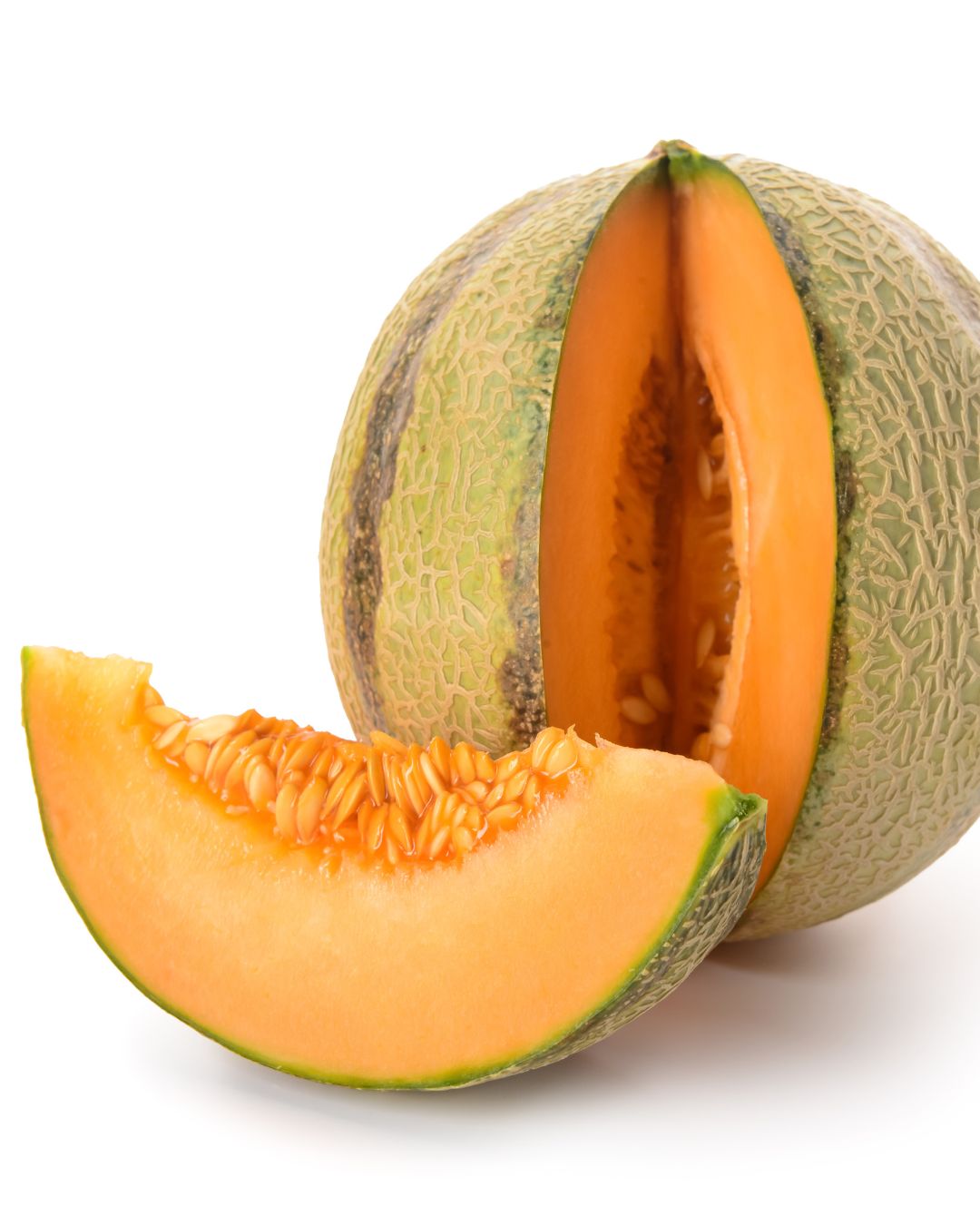 האם כלבים יכולים לאכול מלון